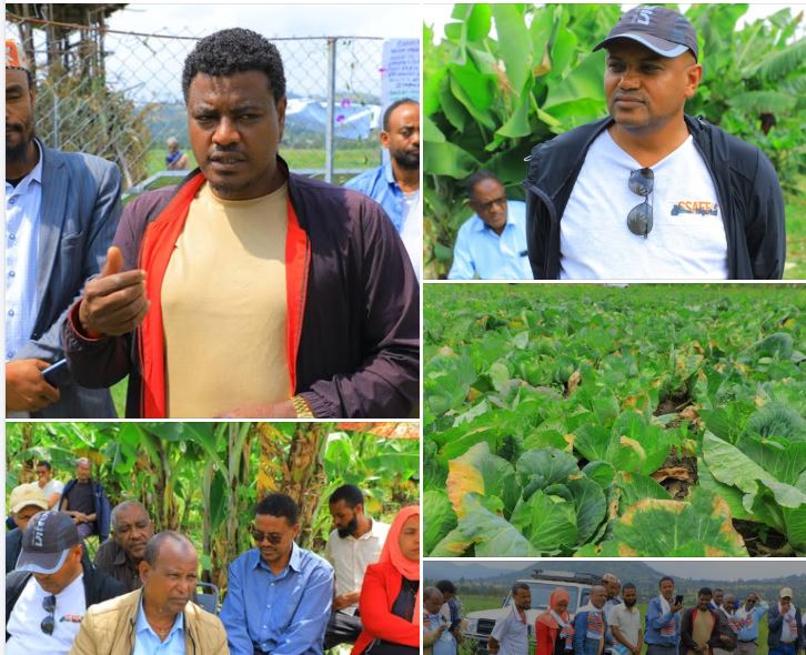 በስልጢ ወረዳ ከተረጂነት ወደ ምርታማነት ለመሸጋገር የሚከናወኑ ተግባራት አበረታች ውጤት እየተመዘገበባቸው ስለመሆኑ ተገለፀ ።